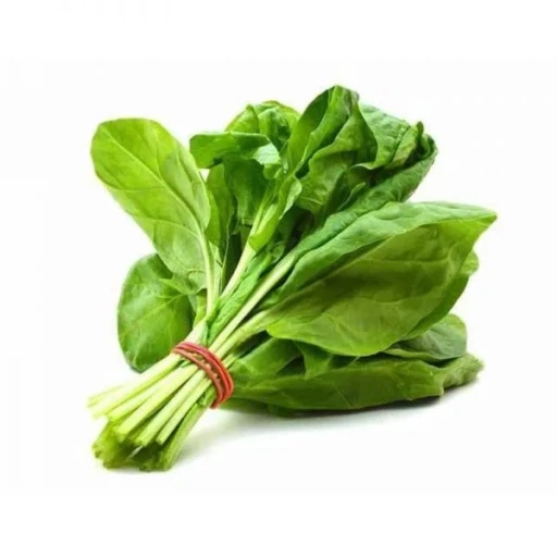  عکس شاهی